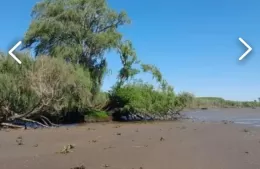 Ofrecen a la venta 33 hectáreas sobre la costa de Berisso: las restricciones ambientales que generan interrogantes sobre su futuro uso