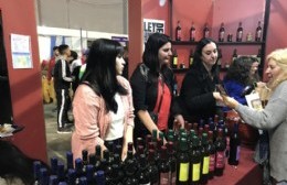 Segunda jornada de la Fiesta del Vino: ventas, stands, trabajadores en acción y números artísticos