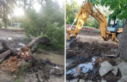 Preocupación por rotura de paredes y techos en casas de la Río de Janeiro