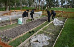 Cooperativistas producen en talleres de obra y en espacios públicos