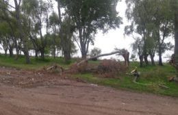 Explotó el verano: Clima tenso entre guardavidas y Nedela