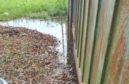 Agua contaminada y estancada desde hace meses: “Está todo infectado”