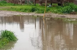 El problema del los vecinos, la pileta en la calle 11