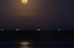 Caminata a la luz de la luna