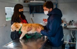 El móvil de Atención Primaria de Mascotas pasó por El Carmen