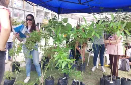 Entrega de árboles en el Día de la Ecología