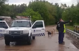 Viento y caída de postes: Defensa Civil reporta pocos incidentes en la región