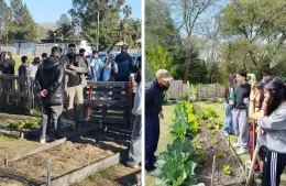 Taller de huerta en Santa Teresita: una propuesta para aprender a cultivar con mirada agroecológica