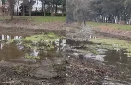 Se produjo una bajante del Río de La Plata