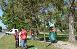 Intensifican tareas para retirar elementos de campaña electoral de la vía pública