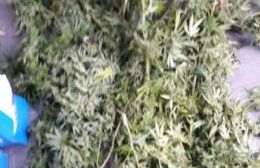 Detienen a joven con más de cuatro kilos de marihuana en su poder