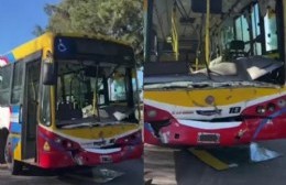 Un colectivo impactó contra un caballo