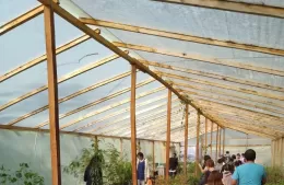 Berisso florece: el Parque Ambiental cultiva educación y semillas bonaerenses