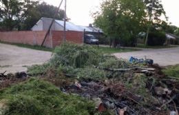 Quejas de vecinos por la existencia de un basural a cielo abierto en 31 y 165