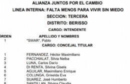 ¿Quiénes están en la lista de Pablo Swar, Matías Nanni, Vanesa Queyffer, Roxana Garavento y Fabián Cagliardi?