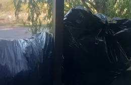 Vecinos denuncian falta de recolección de residuos y calles intransitables en la zona de 146 entre 11 y 14