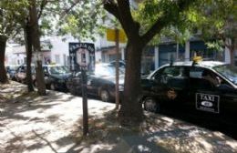 Impacto del paro de transporte: Sin servicio de colectivos pero con taxis