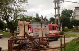 Bomberos realizó su “chancho móvil” en el Parque Cívico