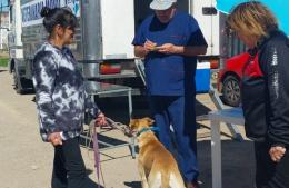 Exitosa jornada de sanidad animal en El Carmen