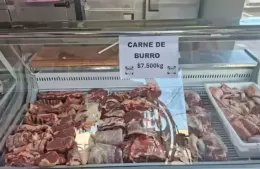 Trelew: furor por la carne de burro, más barata que la vacuna y con alta demanda