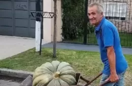 Un vecino de Berisso sorprendió con la cosecha de un zapallo gigante