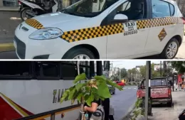 Taxistas de Berisso advierten más demanda por la baja frecuencia de colectivos