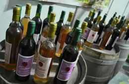 Se viene la Fiesta del Vino de la Costa: el cronograma completo