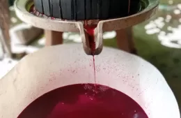 El Vino de la Costa se prepara en Berisso para una nueva fiesta