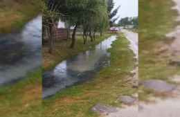 Vecinos de Los Talas reclaman mejoras de las calles