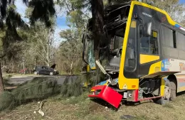 Accidente del micro 202: Scafati confirmó unos 20 heridos y el corte total de la avenida 60