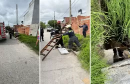 Vecinos denuncian peligro en 125 y 76: exigen soluciones antes un pozo que tuvo a un perro atrapado