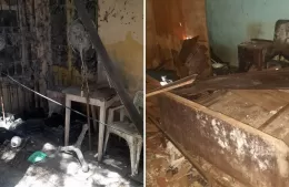 Hallaron animales sin vida en el interior de una vivienda