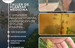 Caminata para reconocer las virtudes saludables de la plantas