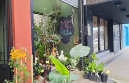 Berisso florece: la vivería que conquistó el Día de la Madre con fresias, rosas y opciones para todos los bolsillos